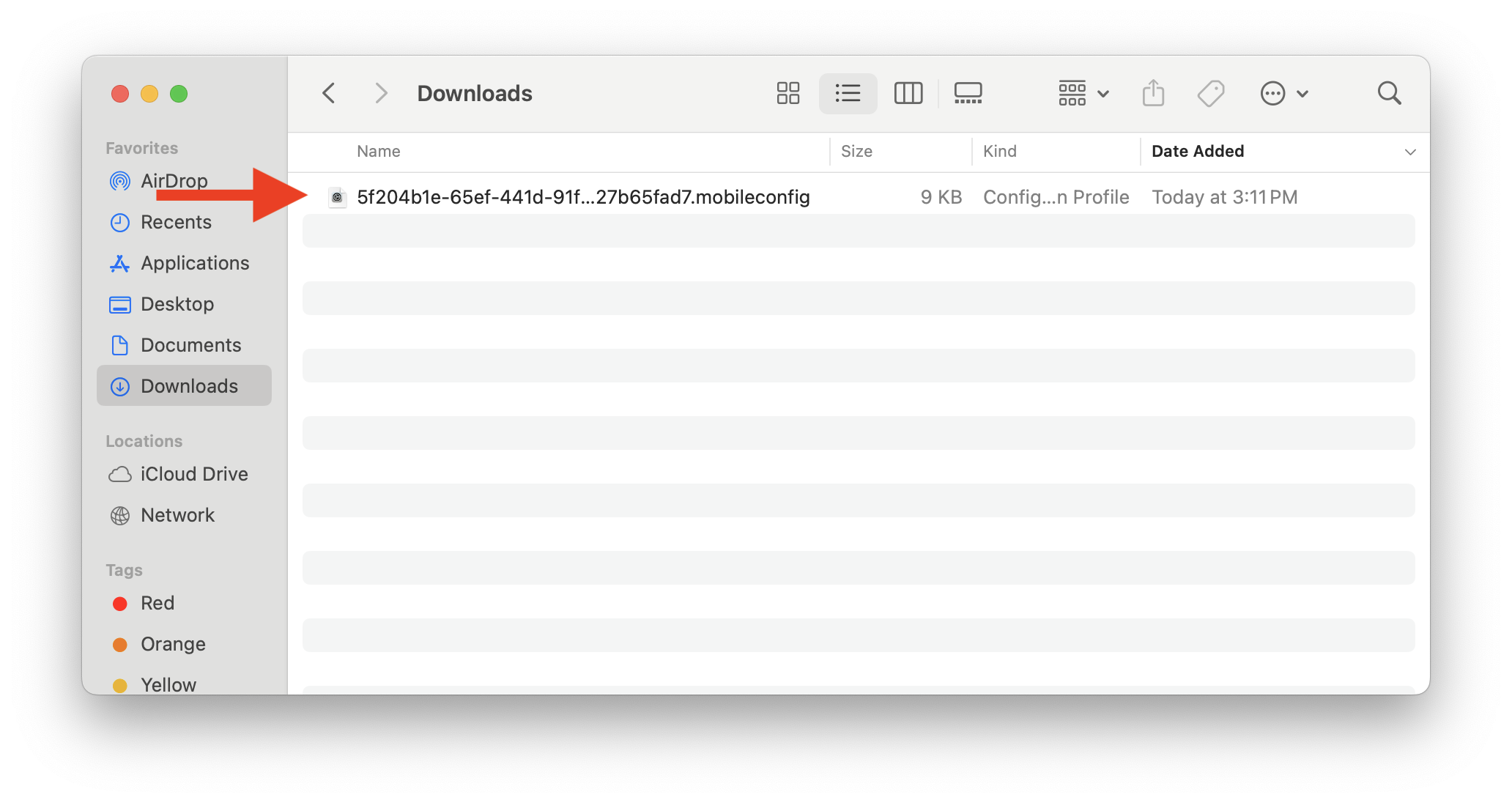 02 - Profile in Downloads Folder.png