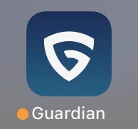 guardian-8.JPG