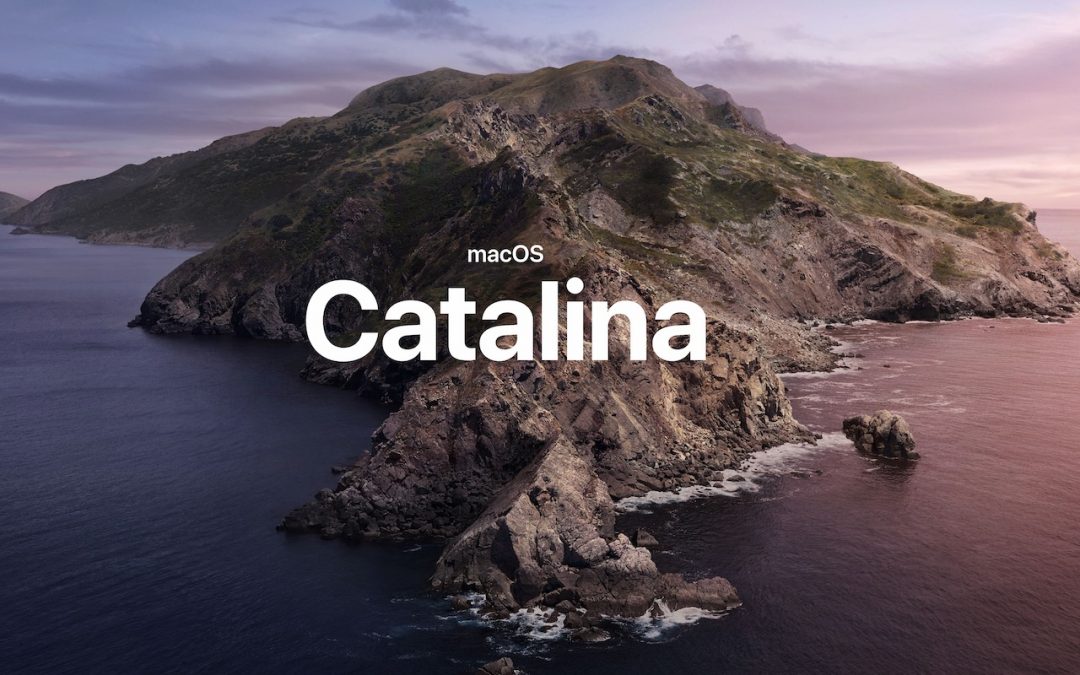 New-in-Catalina-photo-1080x675.jpg