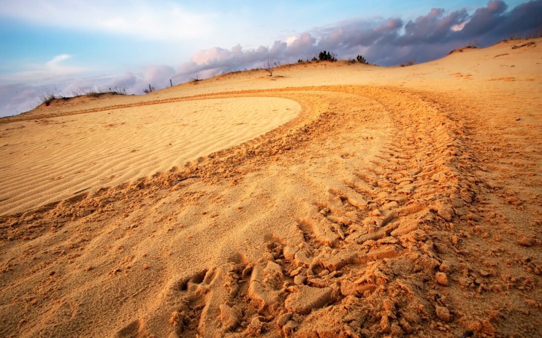 Safari-sand-reverses-course-photo-1080x675.jpg